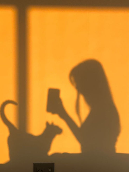 National Drink Wine With Your Cat Week
