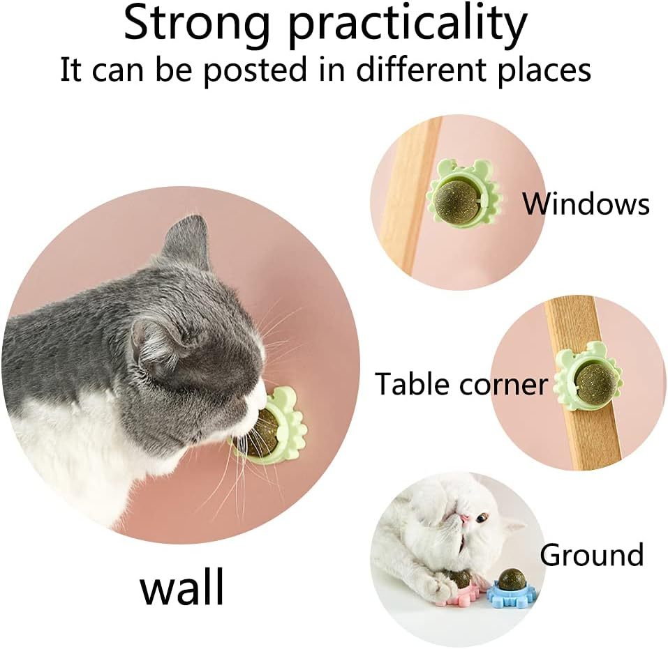 Catnip Wall Ball
