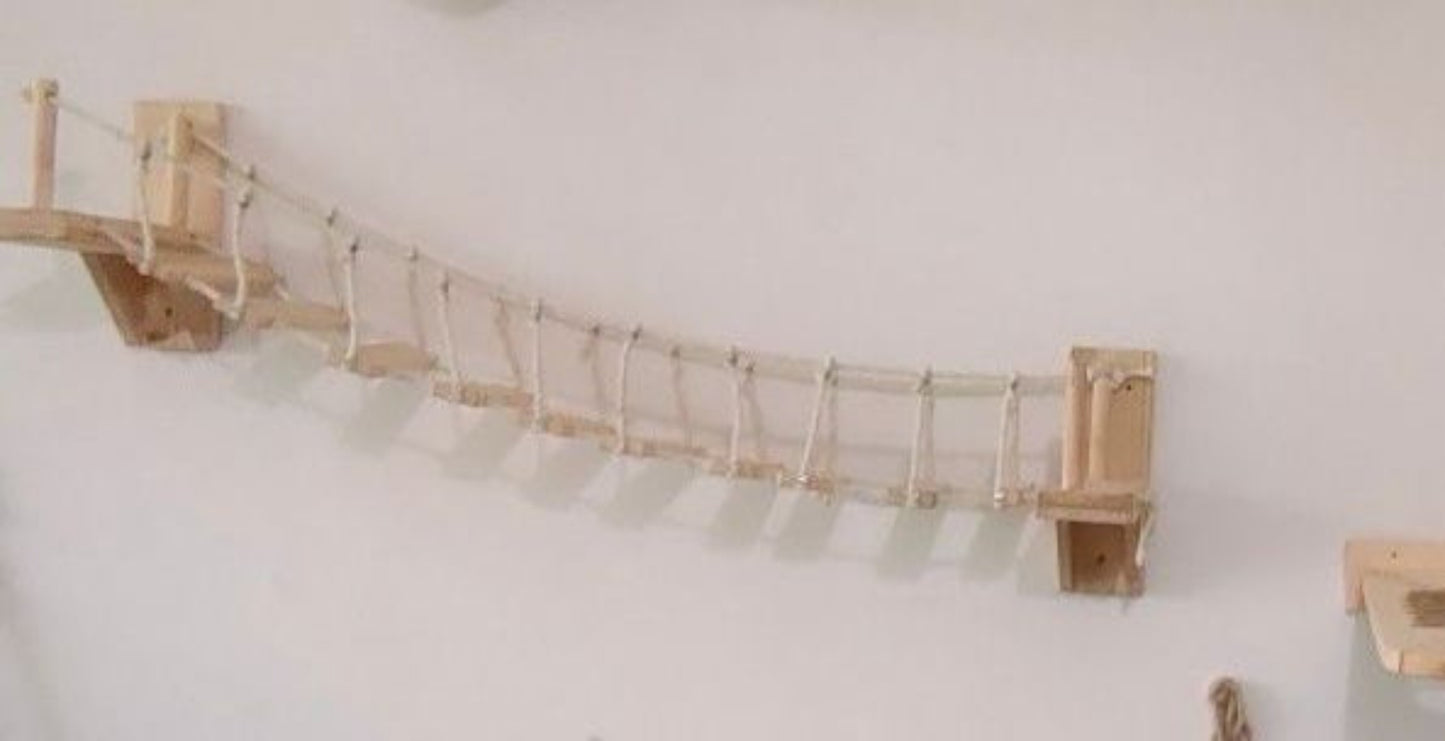 Cat Suspension Bridge