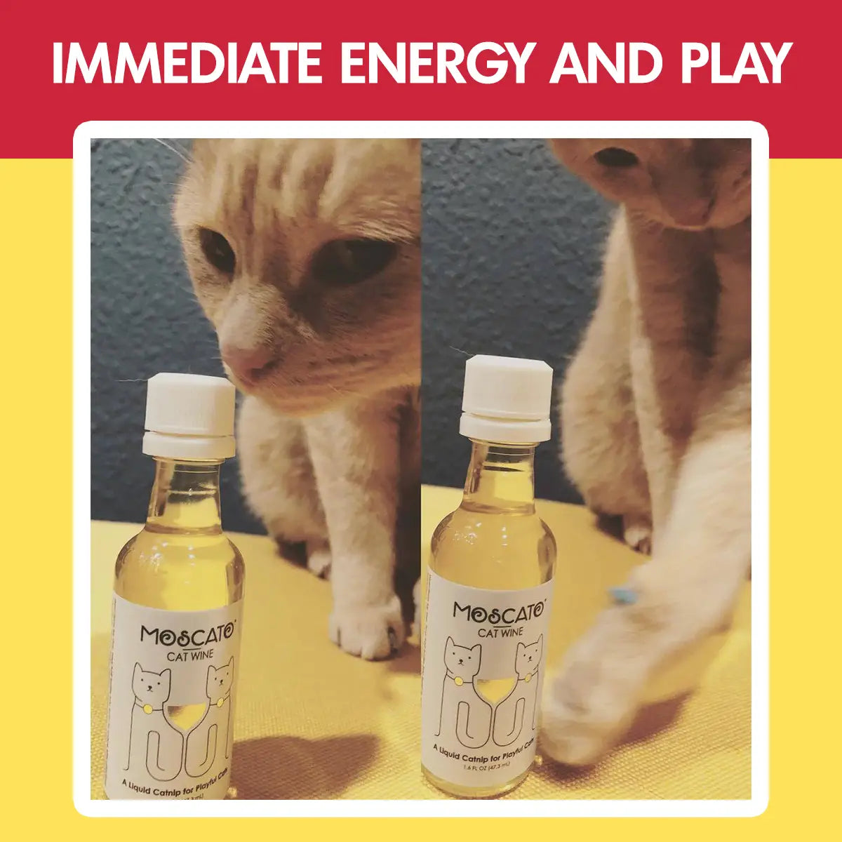 Cat Wine Pawty Pack: Catbernet & Pinot Meow (2-Pack)