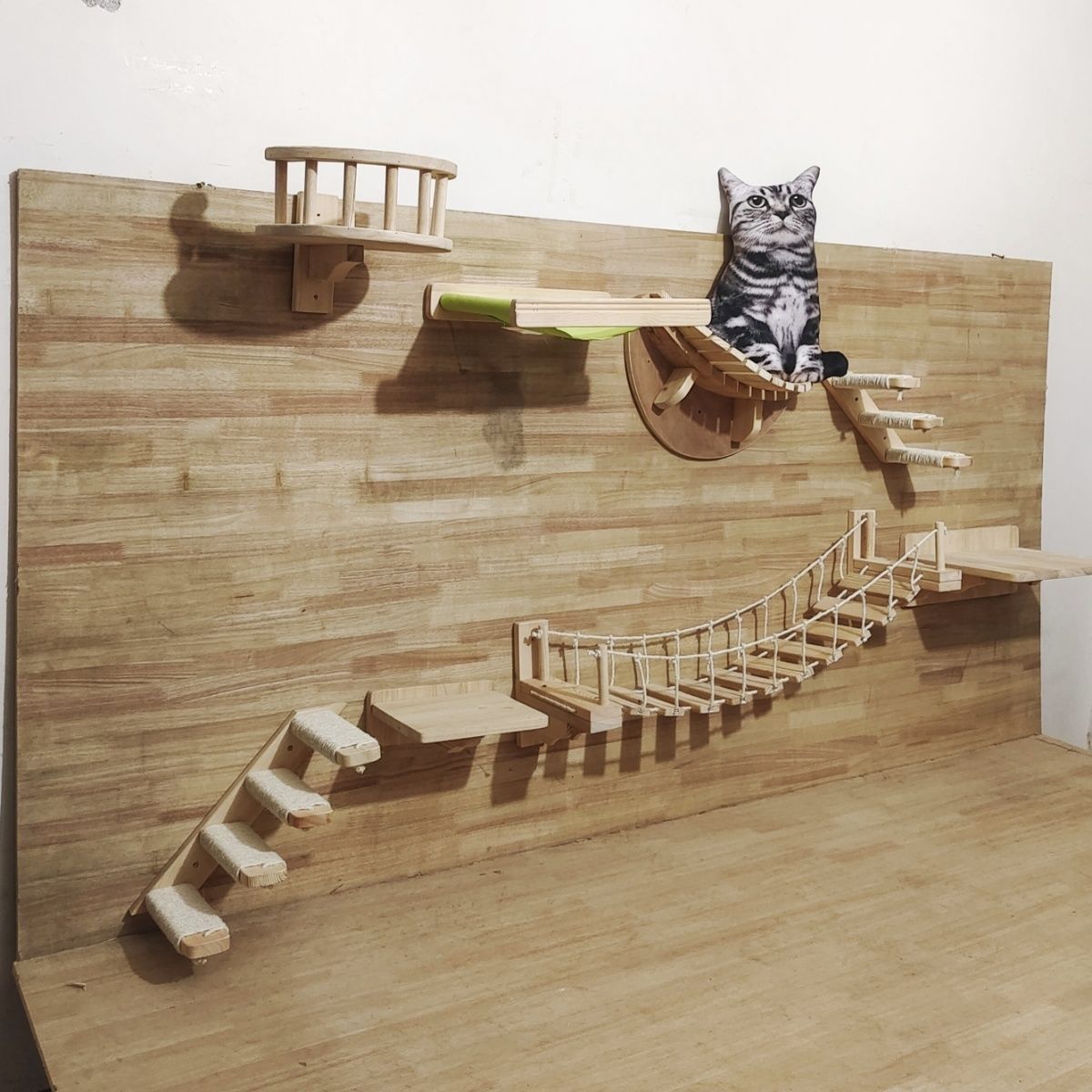Cat Suspension Bridge