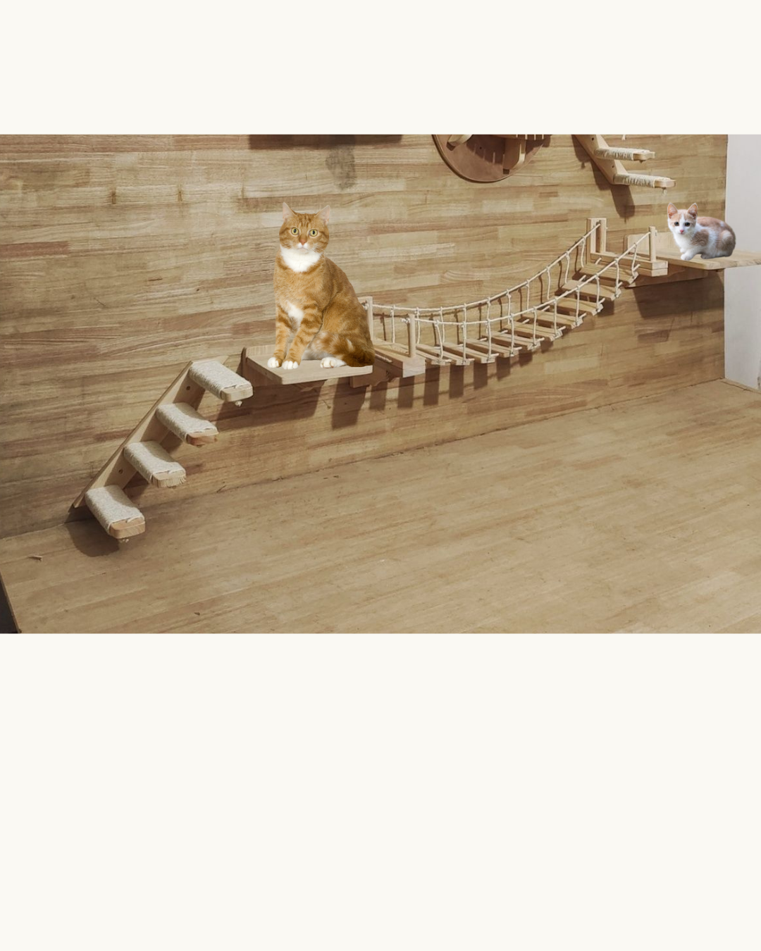 Cat Suspension Bridge