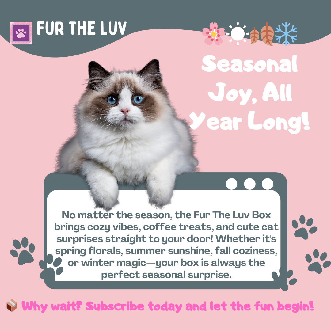 🎁The Fur the Luv Mystery Box – A Surprise for You & Your Cat!