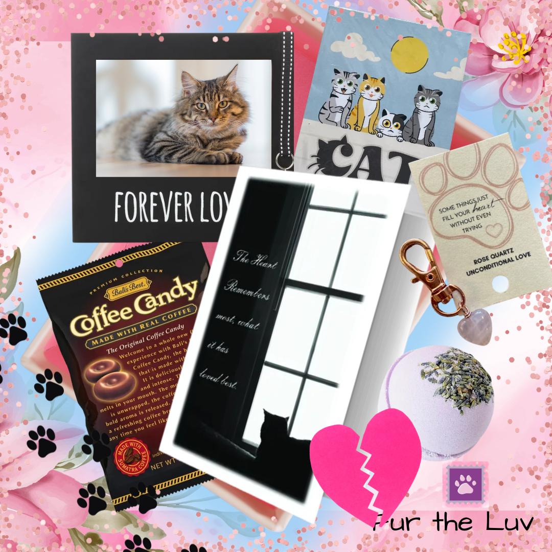 š¾ Comfort Box ā For Those Saying Goodbye