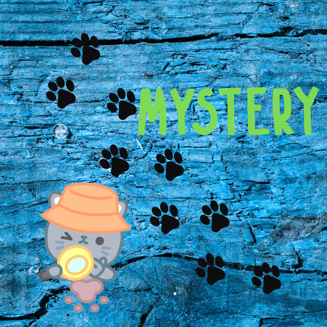 🎁The Fur the Luv Mystery Box – A Surprise for You & Your Cat!