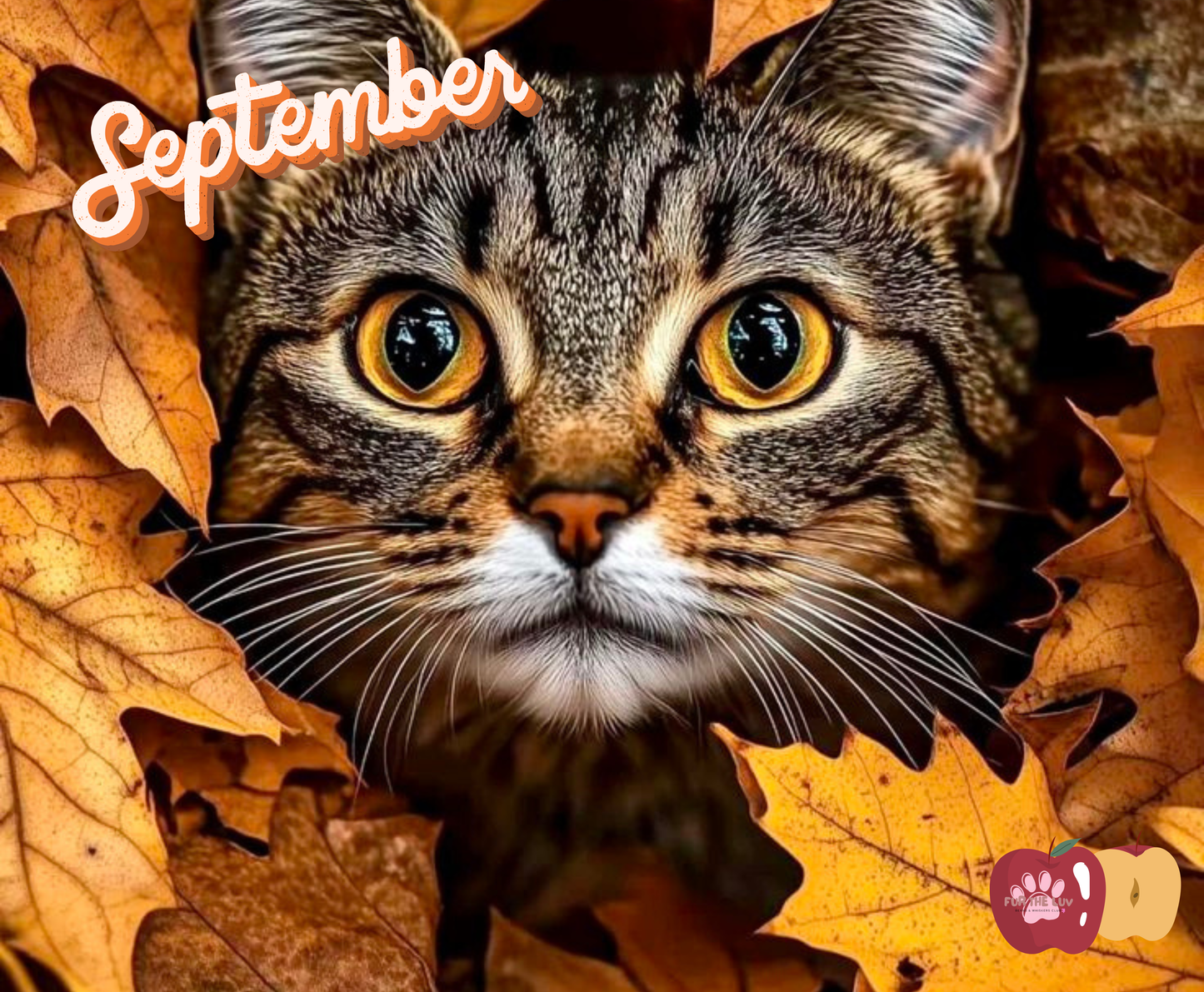 2026 Cat Wall Calendar - High-quality printing ensures vibrant