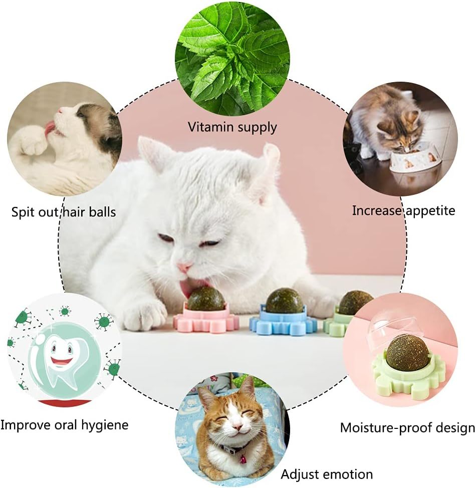 Catnip Wall Ball