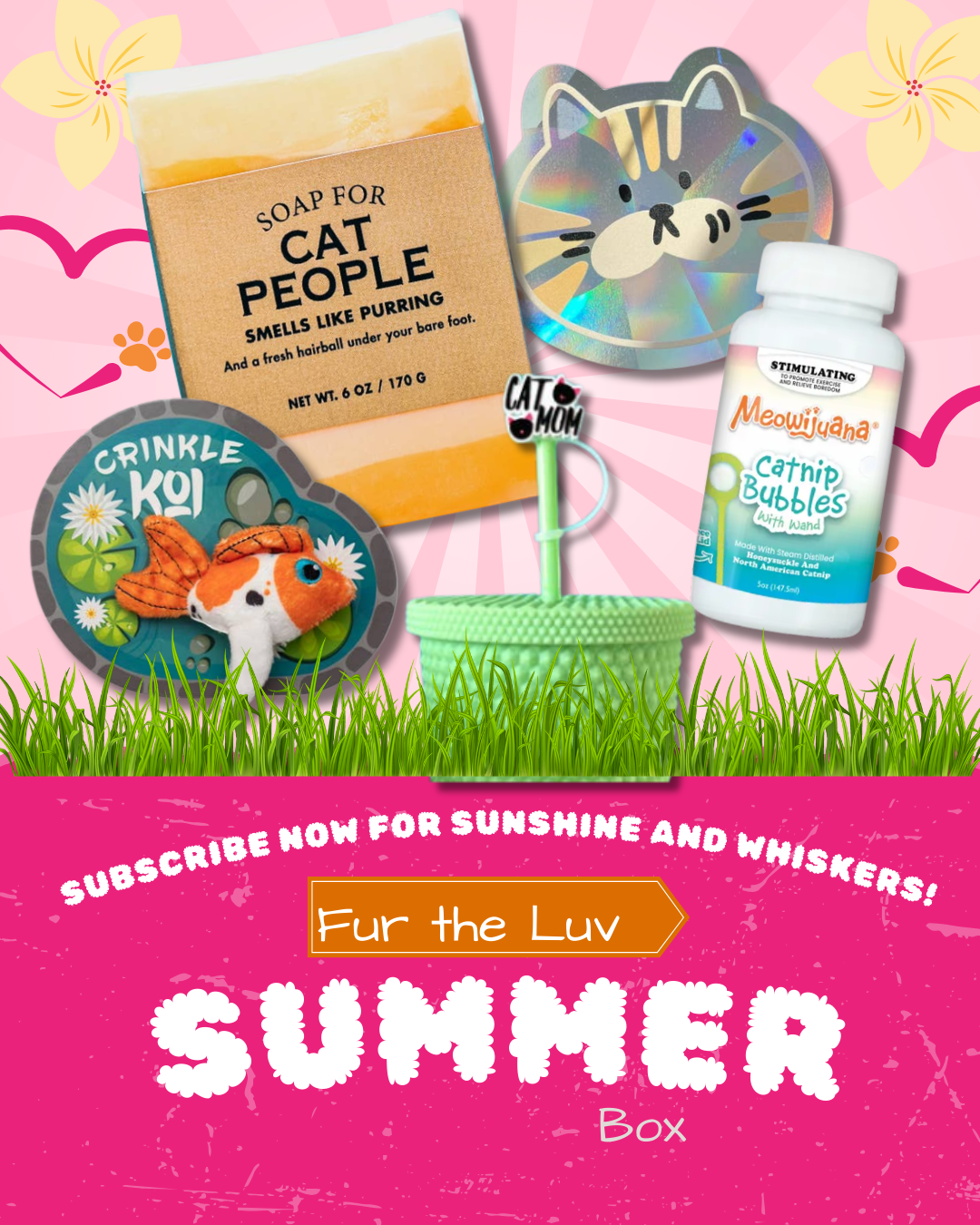 🎉 Fur the Luv Box