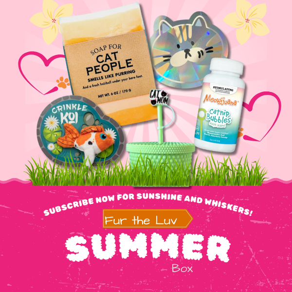 🐾 Why Settle for Boring? How Sardine-Core Cat Boxes Make You (and Your Cat) Purrfectly Happy