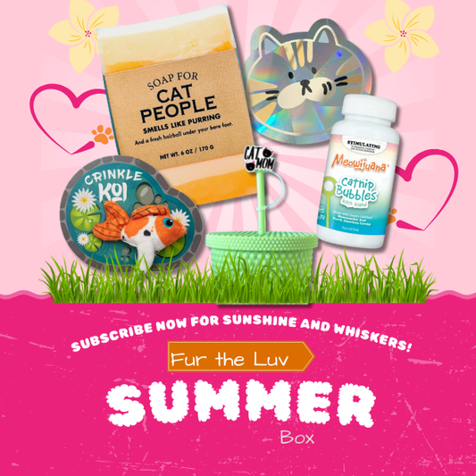 🐾 Why Settle for Boring? How Sardine-Core Cat Boxes Make You (and Your Cat) Purrfectly Happy