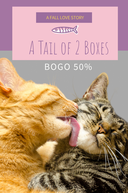 Beans & Whiskers Club: Subscription Box