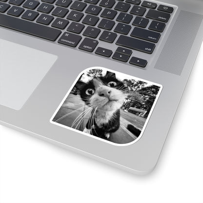 What's Up Cat Sticker
