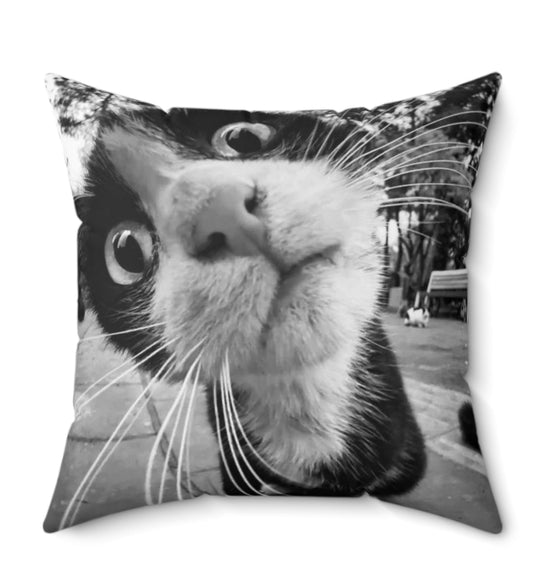 What's Up Cat Pillow