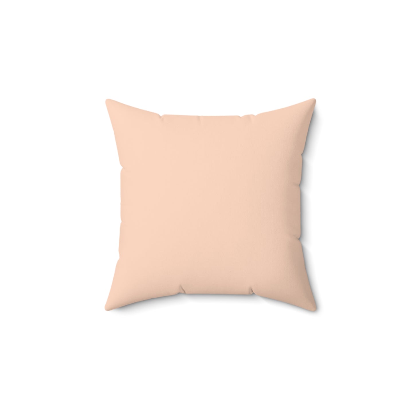Cat in the Sun Pillow