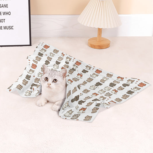 Matching Cat Blanket