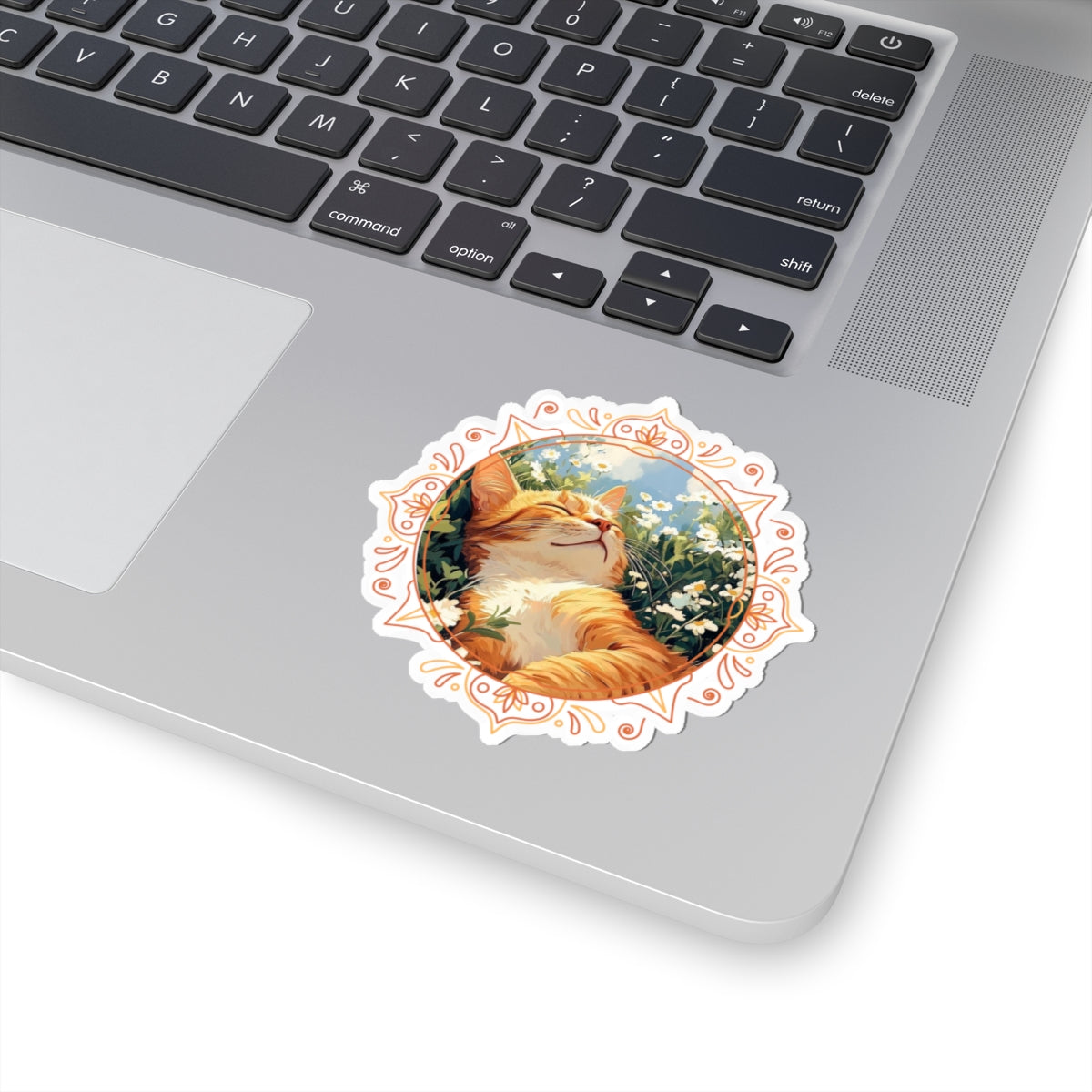 Cat in the Sun Sticker