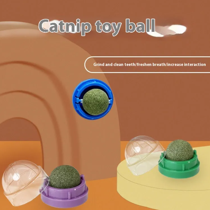 Interactive Avocado Catnip Ball Toy