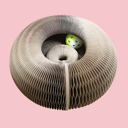Magic Organ Cat Toy