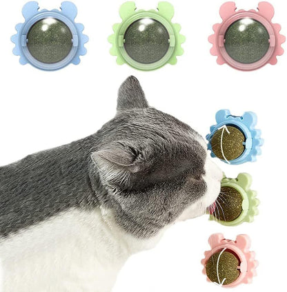 Catnip Wall Ball