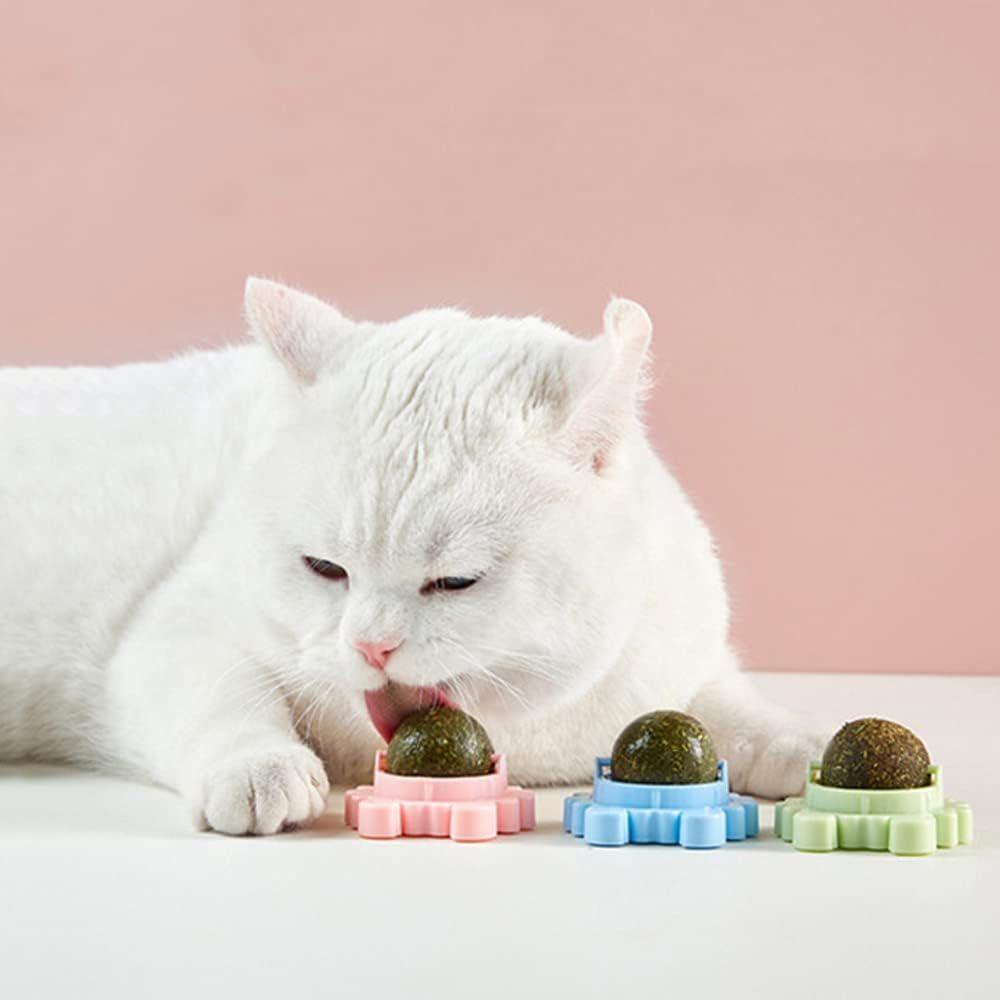 Catnip Wall Ball