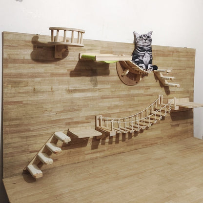 Cat Suspension Bridge
