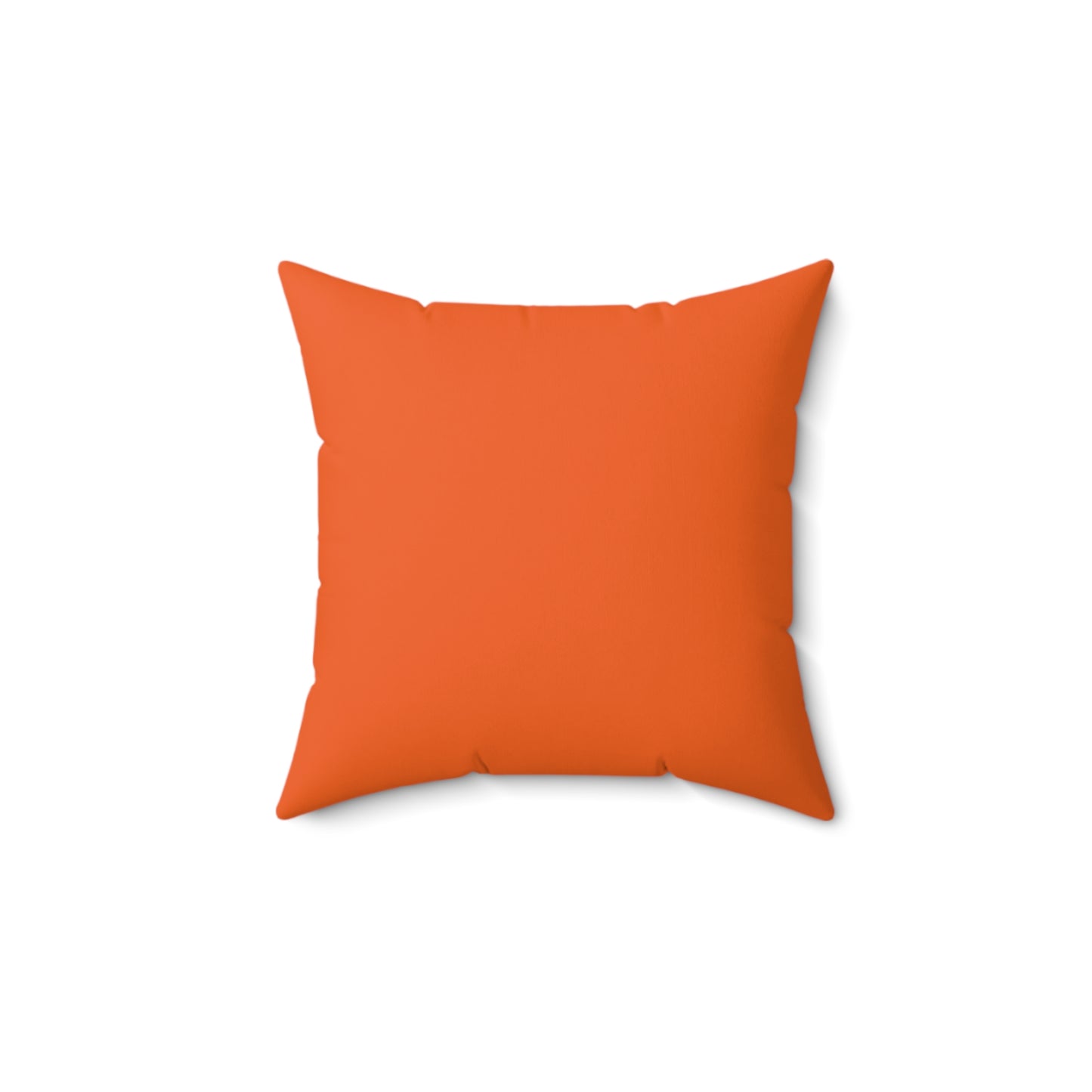 Alley Cat Pillow
