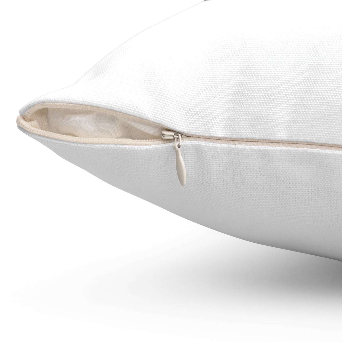 Eat Sleep Sardine Repeat Pillow