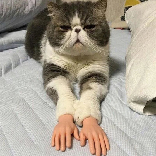 Tiny Cat Hands