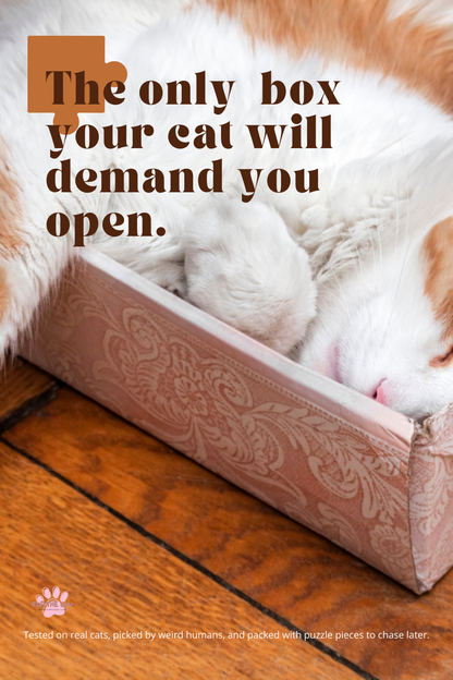 The Whisker Warm-Up Gift Box