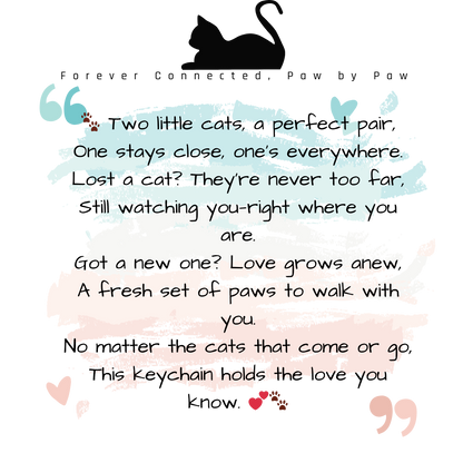 🐾 Two Cats, One Heart – A Bond That Lasts Forever 🐾