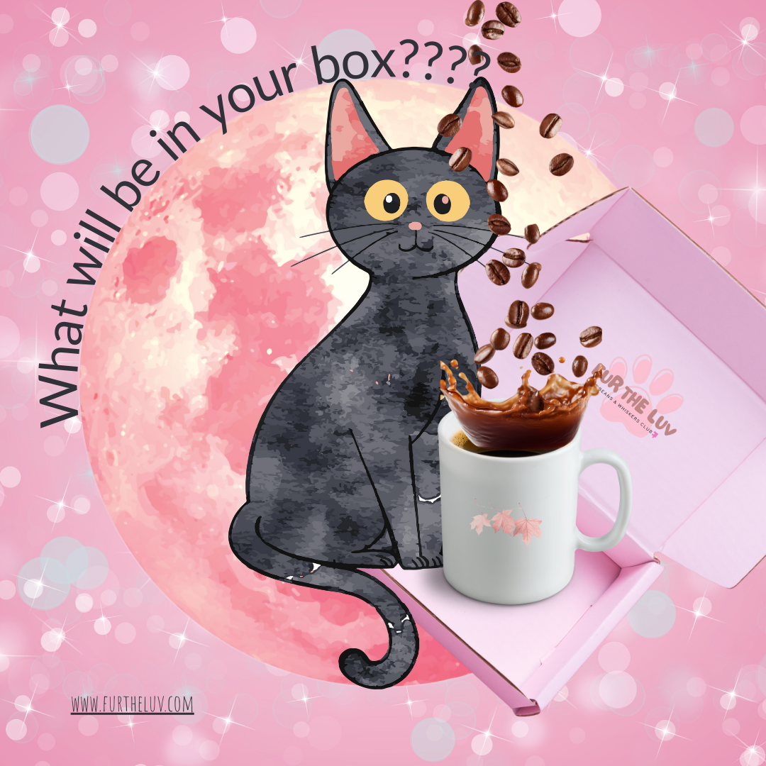Beans & Whiskers Club: Subscription Box