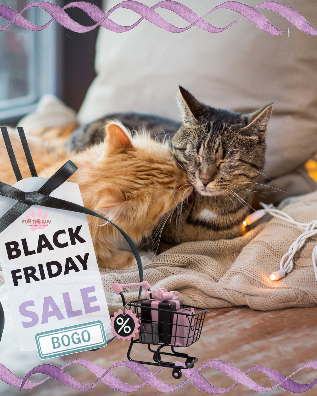 Beans & Whiskers Club: Subscription Box