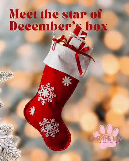 Beans & Whiskers Club: Subscription Box