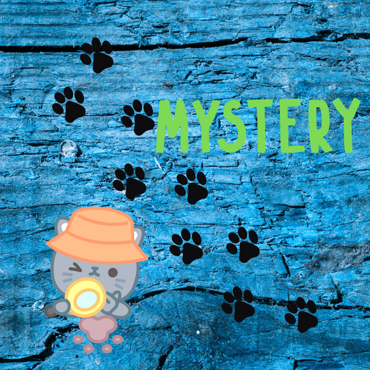🎁The Fur the Luv Mystery Box – A Surprise for You & Your Cat!
