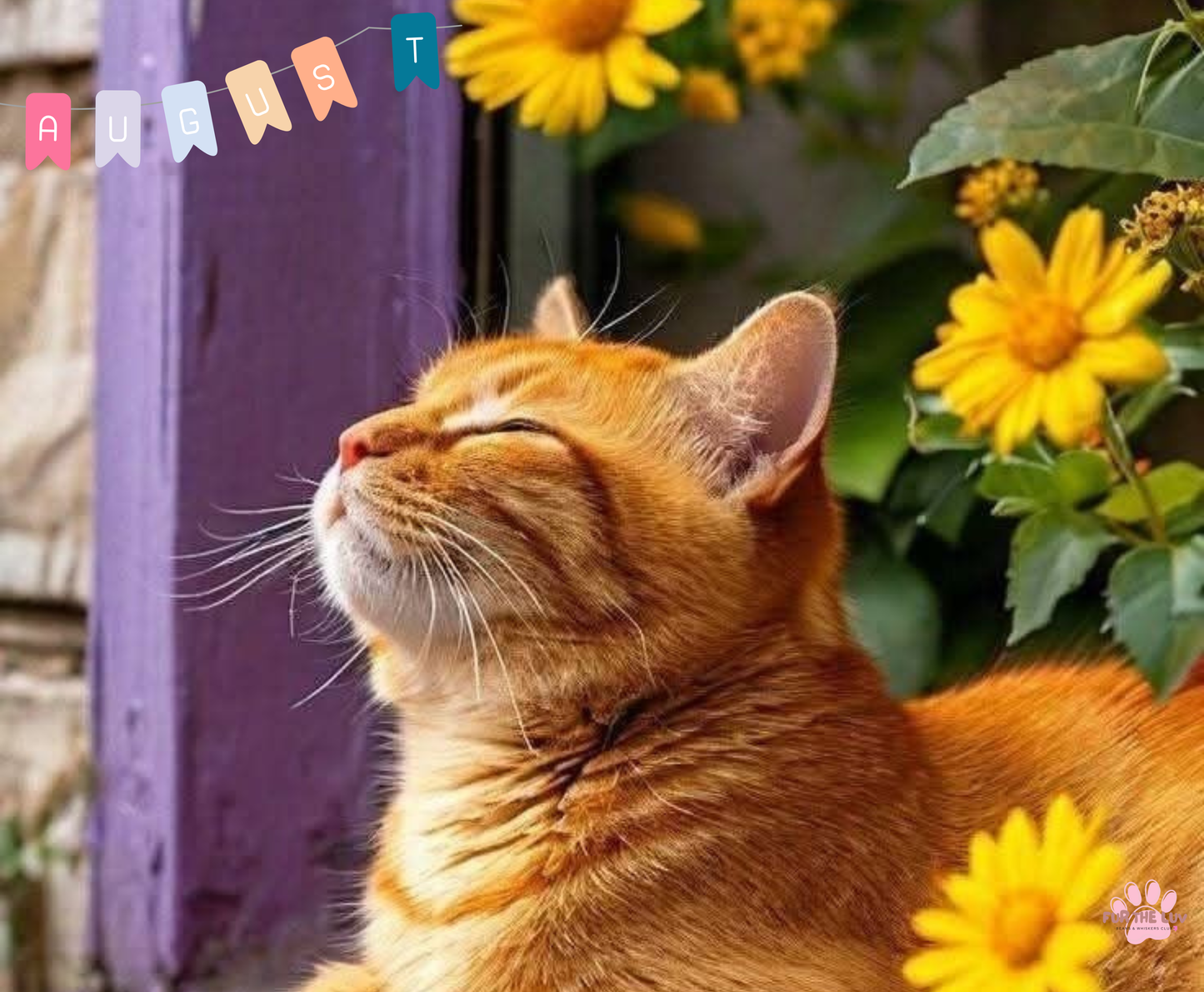 2026 Cat Wall Calendar - High-quality printing ensures vibrant