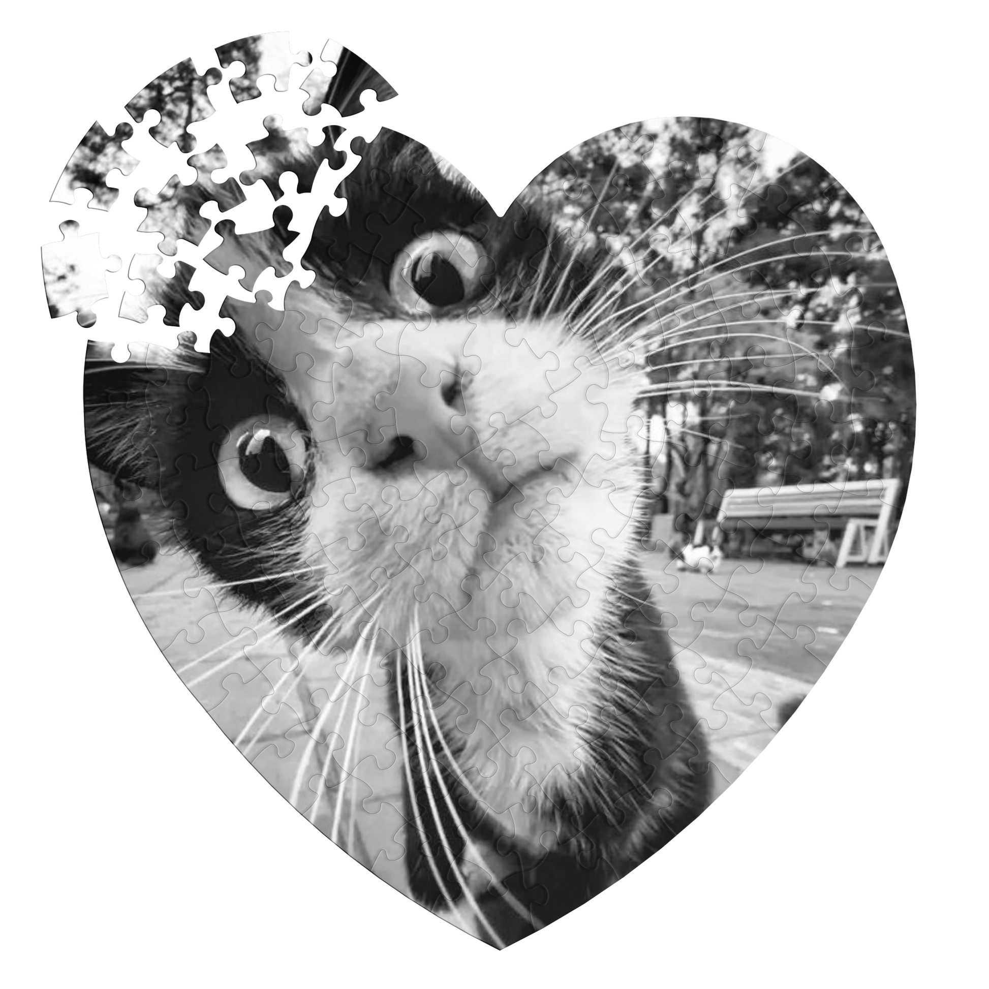 Whats_Up_Puzzle_Heart_Puzzle_Detached_Flat_Mockup.png