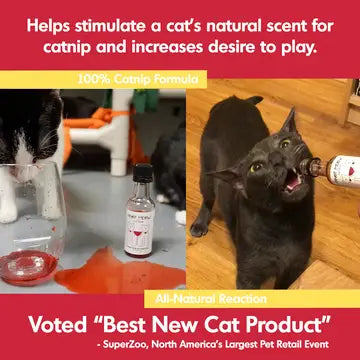 Cat Wine Pawty Pack: Catbernet & Pinot Meow (2-Pack)