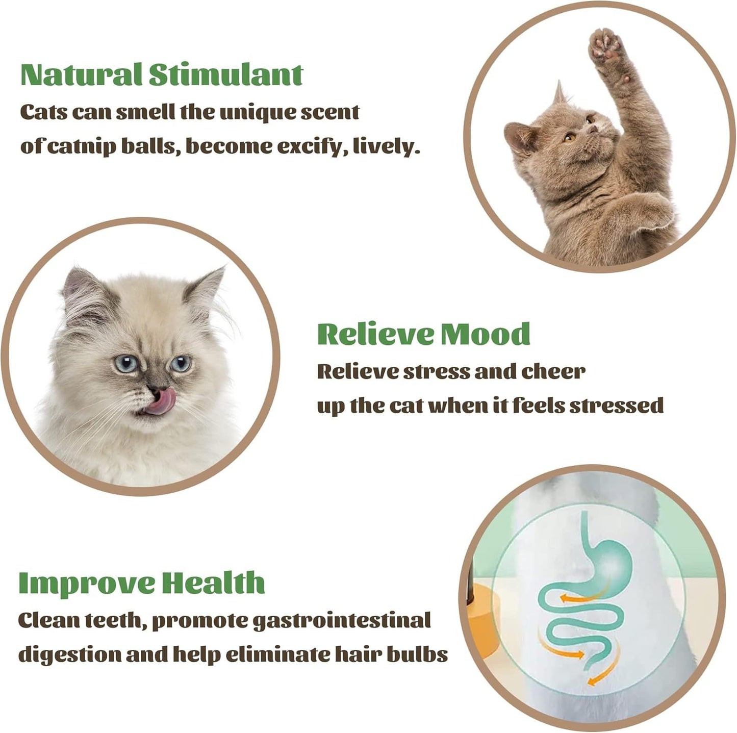 Catnip Wall Ball
