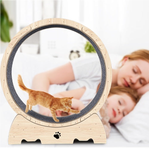 Natural Wood Indoor Cat Exercise Wheel