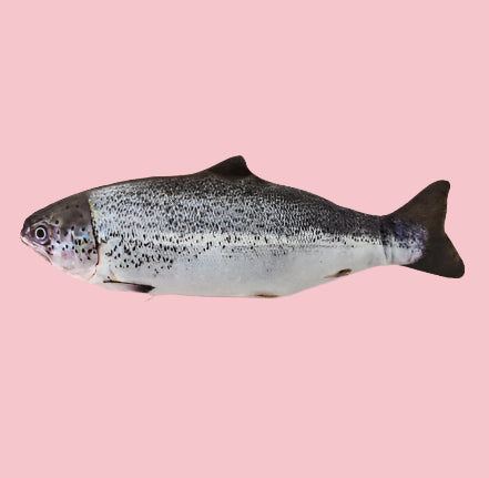 Sardine Cat Toy
