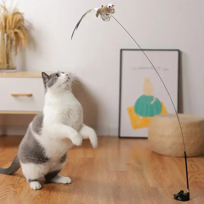 Feather Stick Toy